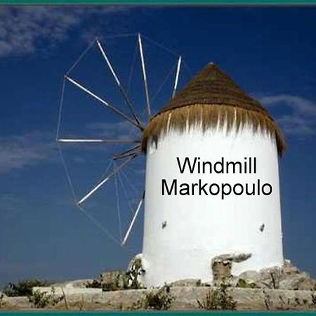 Athens 24-Hours Hostel #Athensairport #Latecheck-In #Privatetransportservice #Groups #Downtown Markopoulo Mesogaias Экстерьер фото