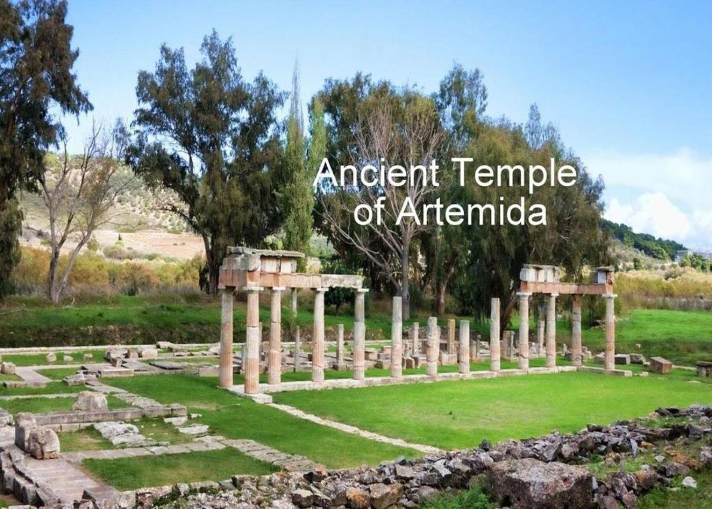 Athens 24-Hours Hostel #Athensairport #Latecheck-In #Privatetransportservice #Groups #Downtown Markopoulo Mesogaias Экстерьер фото